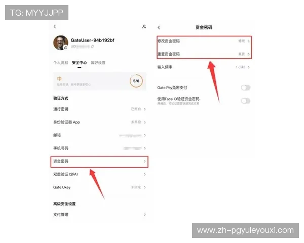 PG官网网址入口官方登录入口指南，详细解析不同设备登录方法与常见故障排查